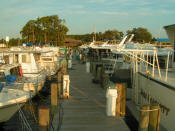 Our view from boat - Palatka