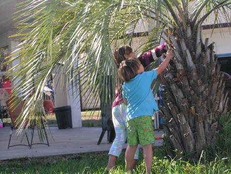 Kids catching lizards