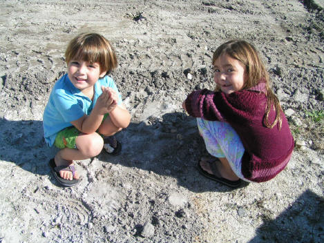 Squids playing in the dirt