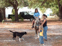 Abi on Kwana the pony, Laura & Ethan