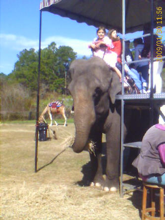 This is me riding an elephant - I am in front