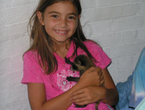 Me holding Cody, a baby racoon